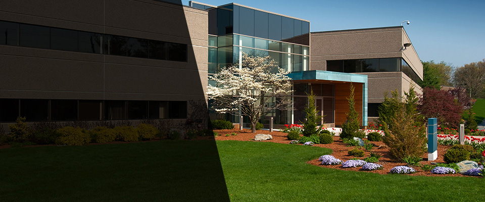 Maple Park Landscapers