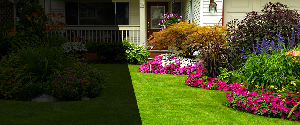 Maple Park Landscapers